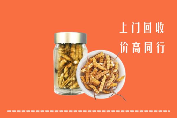 吉林回收冬虫夏草
